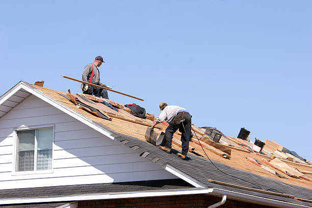 Best Metal Roofing Installation  in Bunker Hl, IL