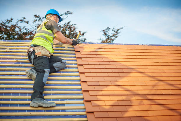 Best Solar Panel Roofing Installation  in Bunker Hl, IL